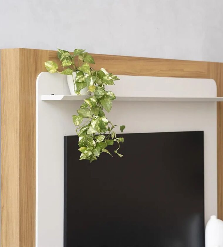 HOME MUNIQUE TAUARI/OFF WHITE FOSCO UN (LINEA BRASIL)